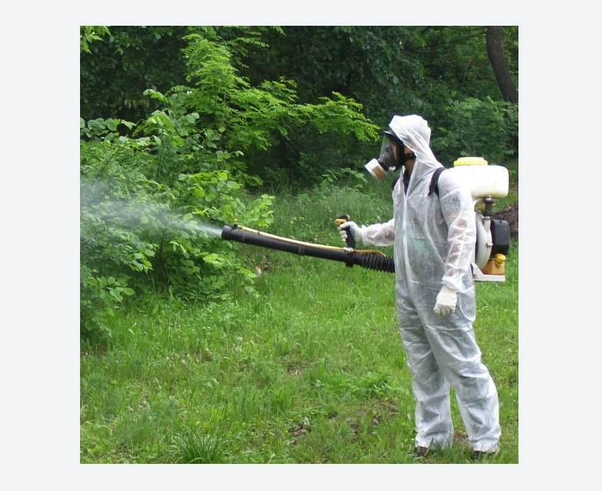 обработка территории от клещей в Нижнем Ломове