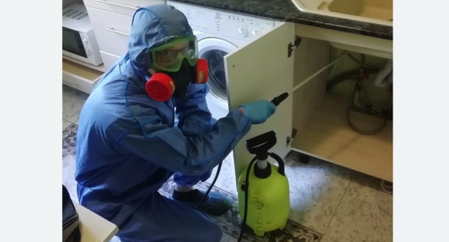 Уничтожение муравьев в квартире. Нижний Ломов