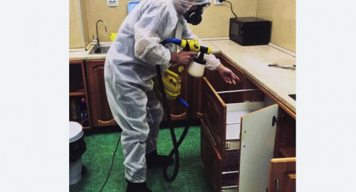 Уничтожение насекомых в квартире. Нижний Ломов