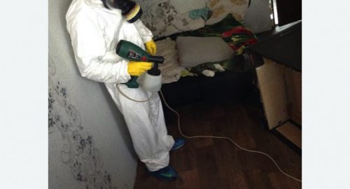 Обработка квартир от насекомых в Нижнем Ломове