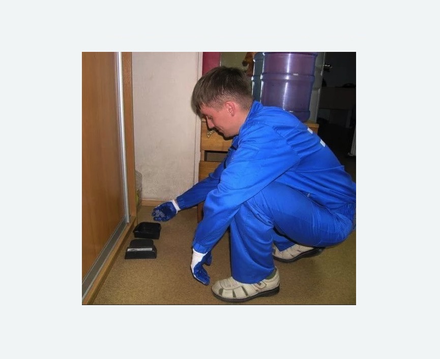 Дератизация крыс в Нижнем Ломове