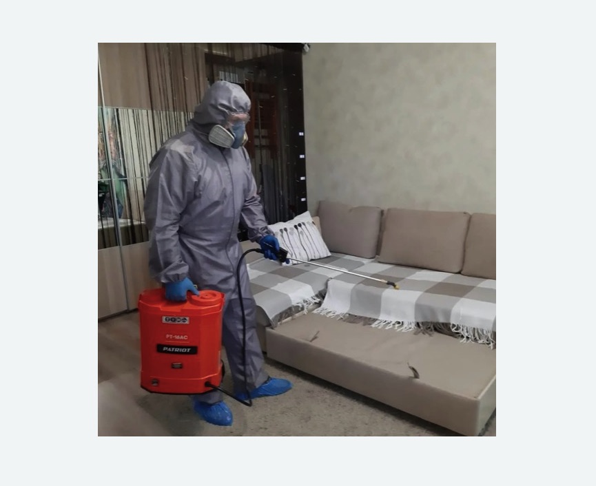 Обработка квартиры от блох в Нижнем Ломове Обработка квартиры от блох