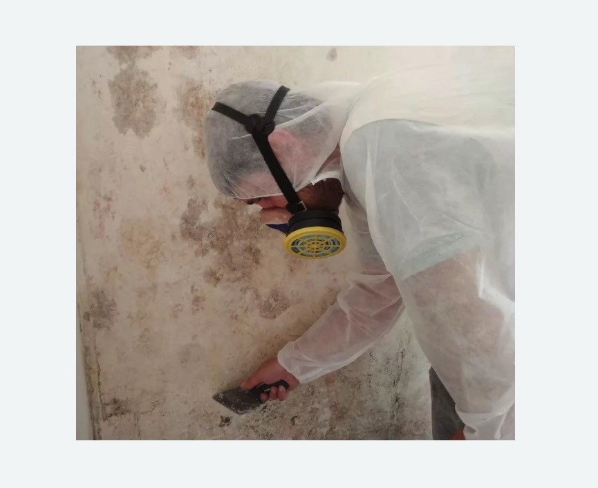 Обработка стен от плесени в Нижнем Ломове