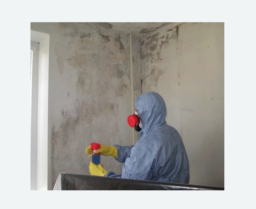 Удаление плесени в квартире в Нижнем Ломове