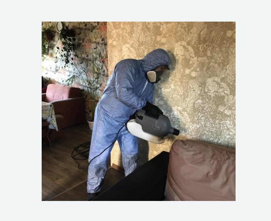 Уничтожение блох в квартире. Нижний Ломов Уничтожение блох в квартире