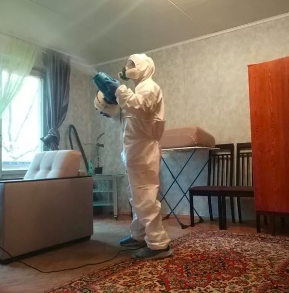 дезинсекция квартиры в Нижнем Ломове