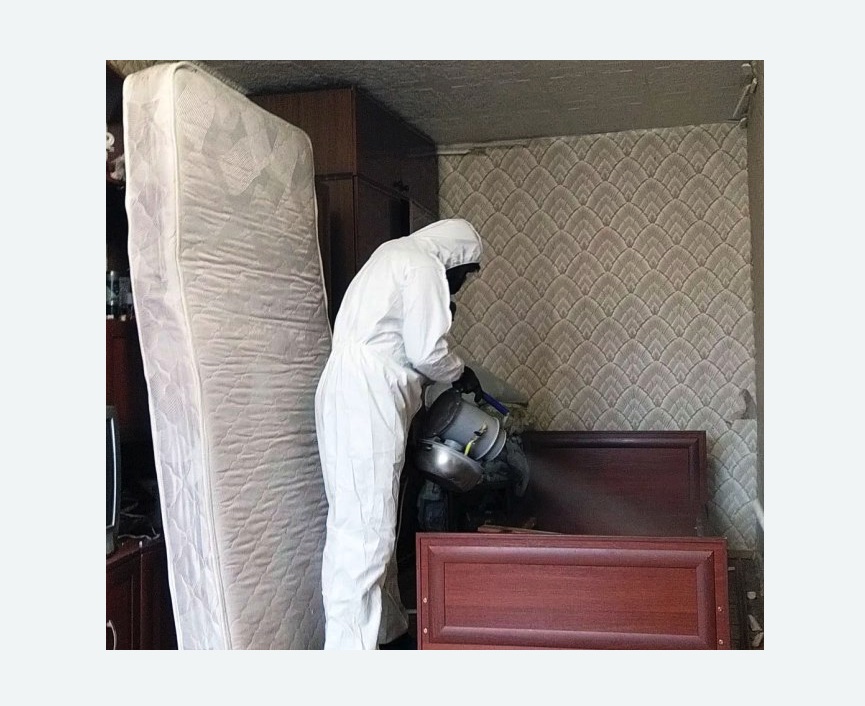 дезинфекция от клопов в Нижнем Ломове