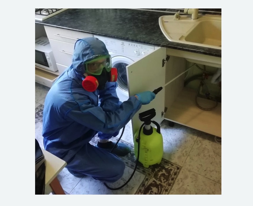 обработка от муравьев в квартире обработка от муравьев в квартире в Нижнем Ломове