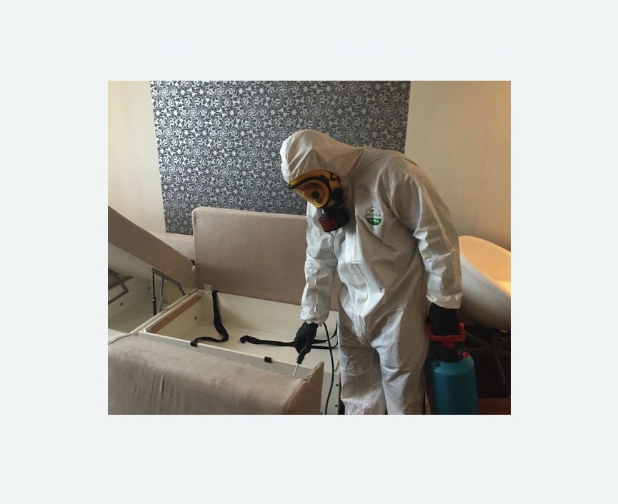 уничтожение клопов в квартире в Нижнем Ломове