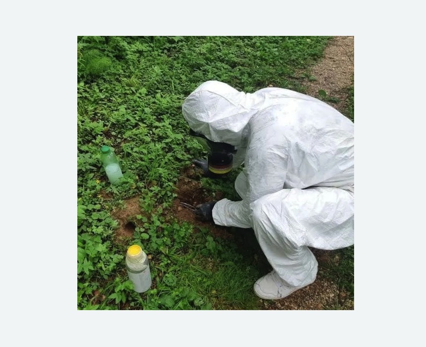 уничтожение кротов на участке в Нижнем Ломове