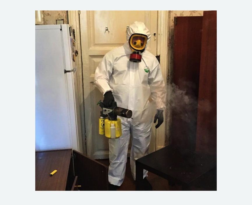 уничтожение муравьев в квартире уничтожение муравьев в квартире в Нижнем Ломове